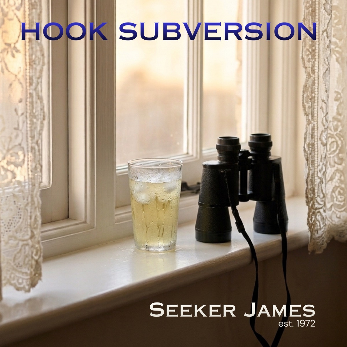 Hook Subversion - Seeker James